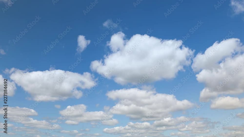 Wall mural beautiful white clouds approach the point of view backed by a vivid blue sky in this one minute loop
