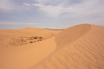 Fototapeta na wymiar Sahara Desert, M'hamid, Morocco