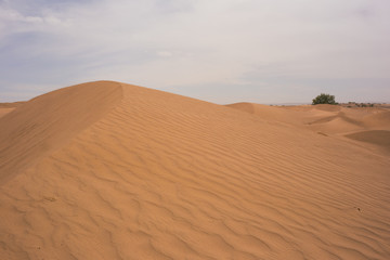 Fototapeta na wymiar Sahara Desert, M'hamid, Morocco