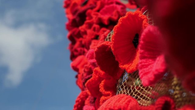 Slow Motion Remembrance Day Fabric Poppies Blowing in the Wind, Focus Transition - 4k Footage