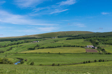 Fototapeta na wymiar Holm of Drumlanrig, Scotland, UK - June 18, 2012: Green agricultural valley with forest pockets under blue sky nearby Drumlanrig Castle. Some farmland and River Nith.