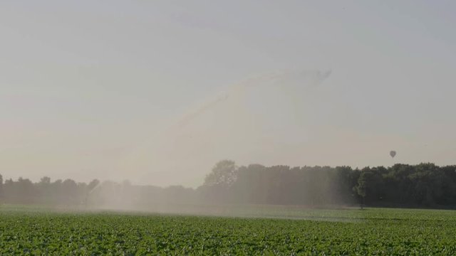 180 fps - Large sprinkler creating rainscreen over crops