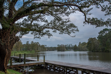 Sunrise after Hurricane Michael 