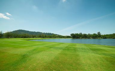 Tranquil and clean green beautiful lawn field .