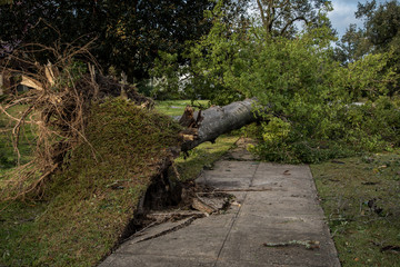 Destruction from Hurricane Michael  - 227391216
