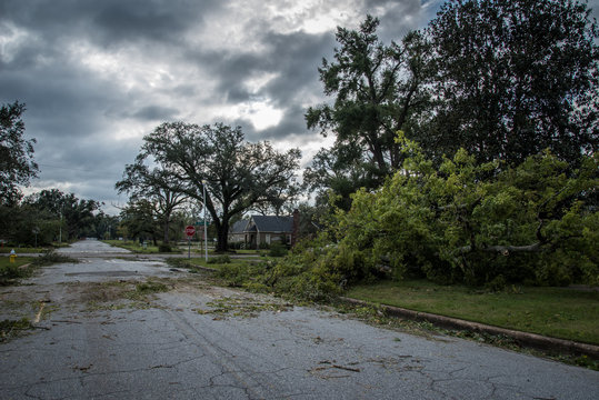 Destruction from Hurricane Michael 