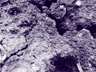 stone and soil background