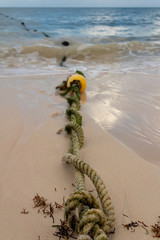 mooring rope covered in algae on the beach