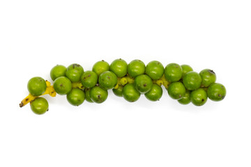 Image of Fresh grain pepper on white background. Vegetables. Food. Spices.