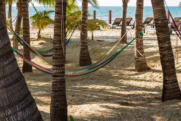Lazy hammocks on sandy beach