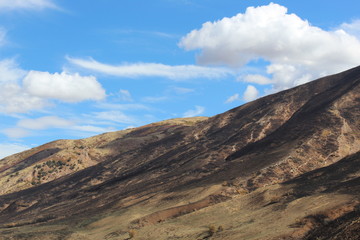 Charred landscape from a wildfire, Blue sky and a few white clouds.  