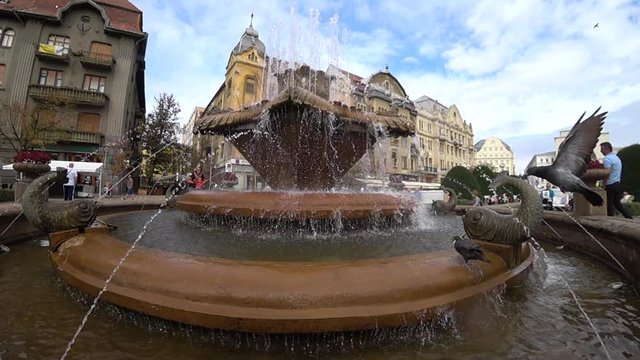 Slow motion - Pigeons drink water from a fountain