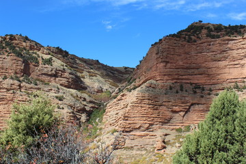 Red stone cliffs with a blue sky, Beautiful scenery in the southwestern United States. small green shrubs and bushes.