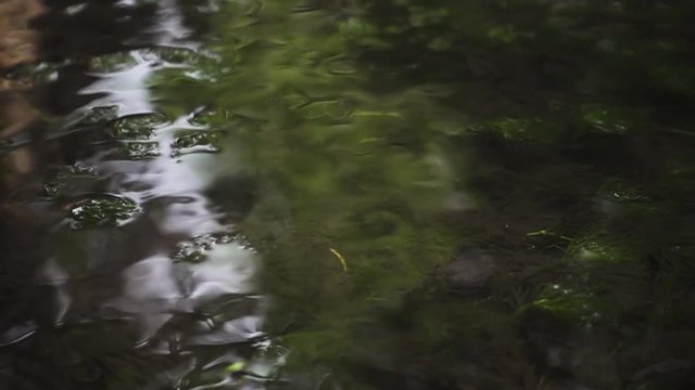 Slow Motion of Water Drop