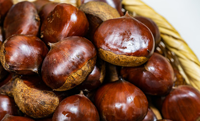 栗の背景