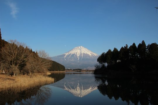 田貫湖 富士山 © 正巳 中川