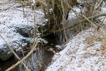 Stream in winter forest