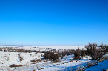 Winter landscape with trees