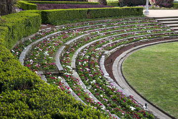 Sydney Australia, terraced flowerbed in the sandringham memorial garden in Hyde Park