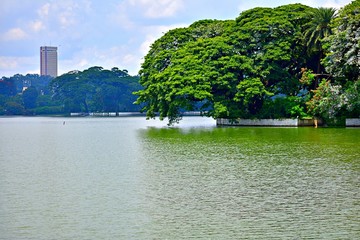 ULSOOR LAKE VIEW