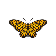 Fototapeta na wymiar Butterfly vector logo