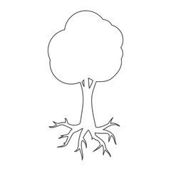 Tree and root logo, tree and root icon