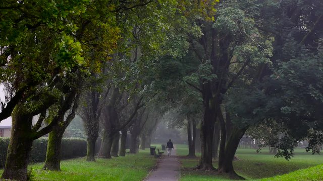 man walking through the park on a foggy morning