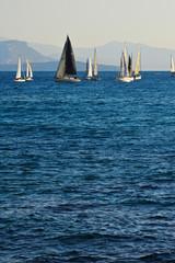 A group of sailing boats floating on the sea against the backgro