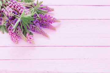 lupine on pink wooden background