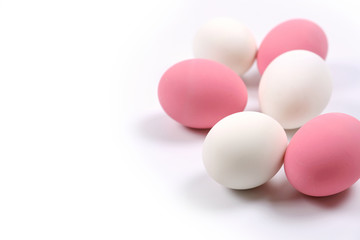 Colorful eggs on white background.