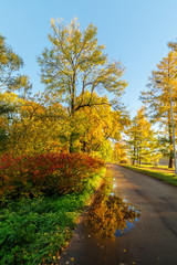 sunny landscape in autumn