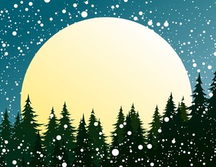 Winter forest with sun dawn. 