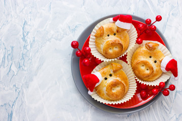 Pig bread buns, funny baking idea shaped cute piggy faces, symbolic food for new year 2019