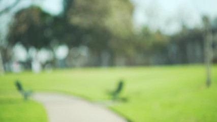 Out of focus background plate of two empty benches in beautiful green park