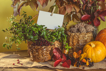 Autumn harvest, pumpkin, pine nuts