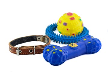 Toys, collar for pets. Dog accessories on white background. 