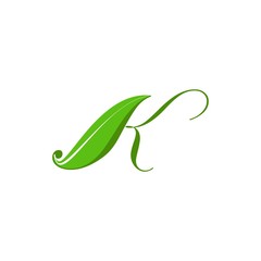 K letter with leaf logo