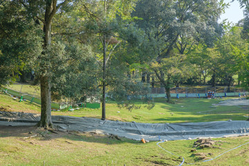 奈良公園の発掘現場