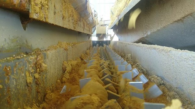 making protein powder in the factory