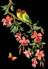 Two parrots sitting on a flowering branch of orchids. Isolated on black