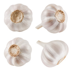 Garlic Isolated on white
