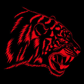 Red tiger on black background. Vector image.