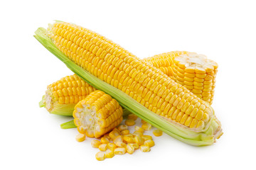 Corn on a white background
