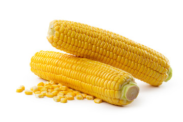 Corn on a white background