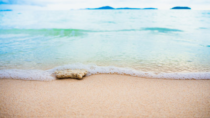 Beautiful sea in summer