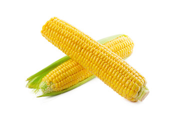 Corn on a white background