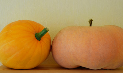 Two different shape pumpkins on wooden shelf on yellow wall background with copy space for text.  Autumn harvest and thanksgiving concept.