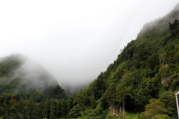 niebla en la montaña