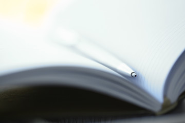 Silver pen lying on opened notebook sheet