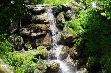 Waterfall2 / 四国の滝。高知の山奥で。